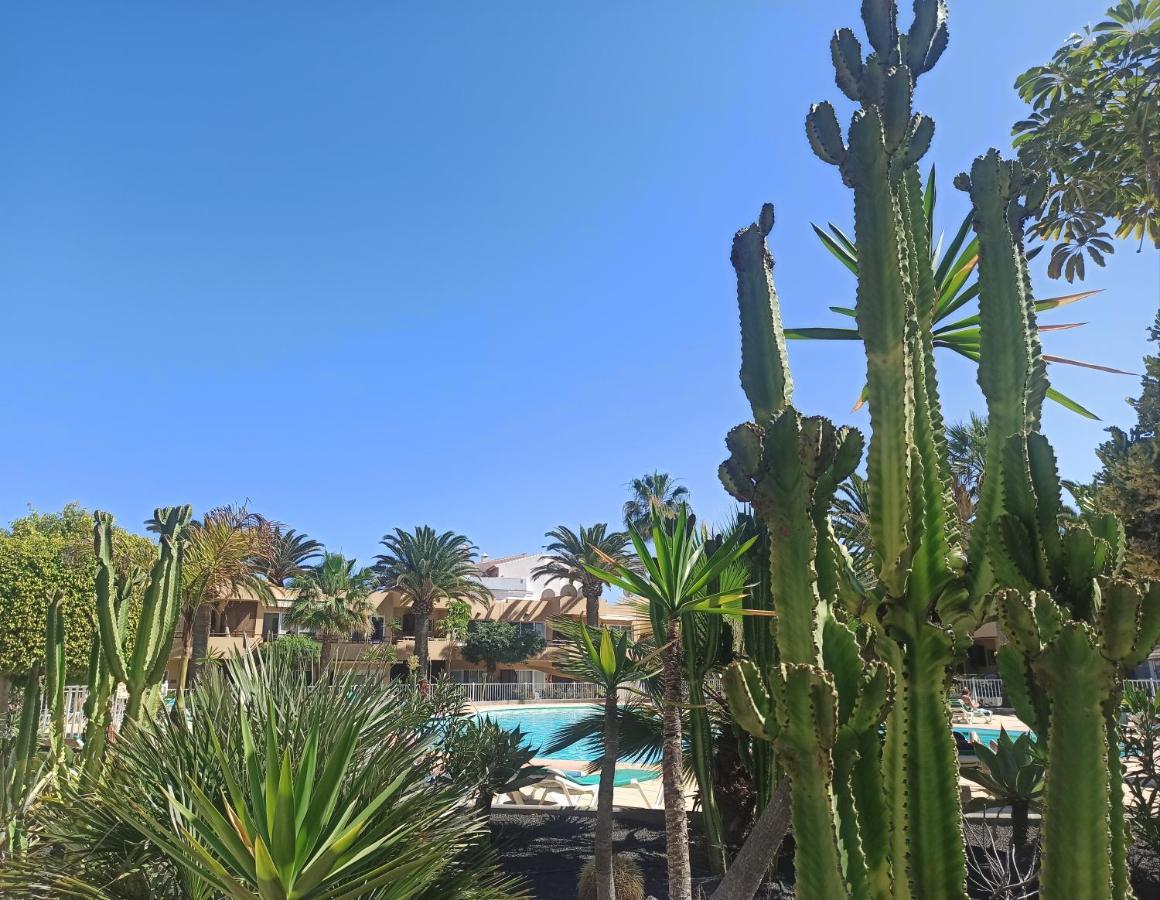 Ferienwohnung Elrincondesara Corralejo Exterior foto